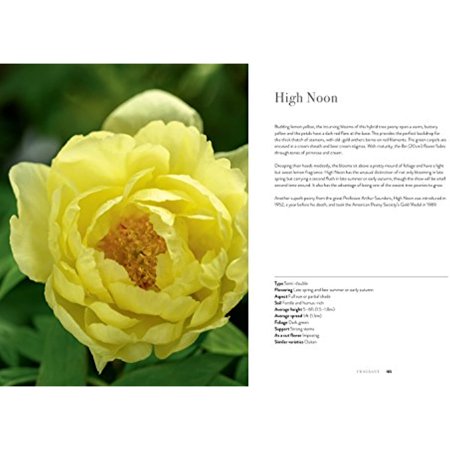 Peonies : Beautiful Varieties for Home & Garden (Hardcover)