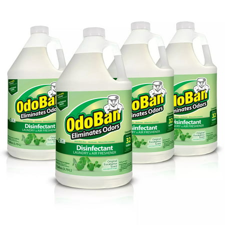 OdoBan Odor Eliminator and Disinfectant Concentrate, Eucalyptus Scent