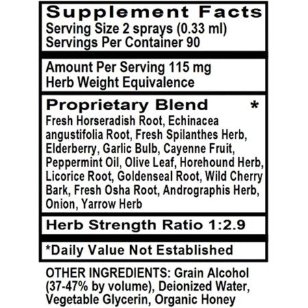 Holly Hill Health Foods, Sinus Blaster Spray (Professional Strength), 1 Ounce