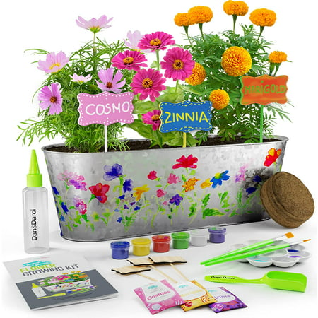 Dan&Darci Paint & Plant Flower Growing Kit for Kids - Best Birthday Crafts Gifts for Girls & Boys - Christmas Gift - Childrens Gardening Kits, Art Projects Toys for Ages 4-12