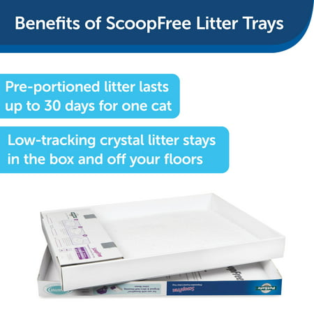 PetSafe ScoopFree Self-Cleaning Cat Litter Box Tray Refills with Sensitive Non-Clumping Crystals, 6-Pack