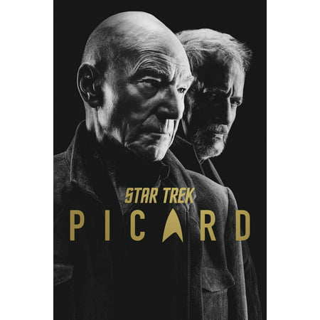 Star Trek: Picard - Season Two (DVD)