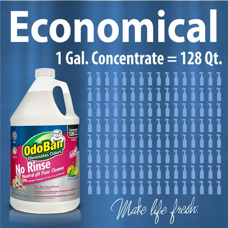OdoBan Floor Cleaners, 128 Fluid Ounce
